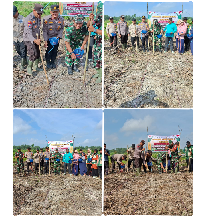 Kapolsek Batang Tuaka dan Danramil Bersama warga Menanam Bibit Jagung Di Desa Sungai Luar Inhil