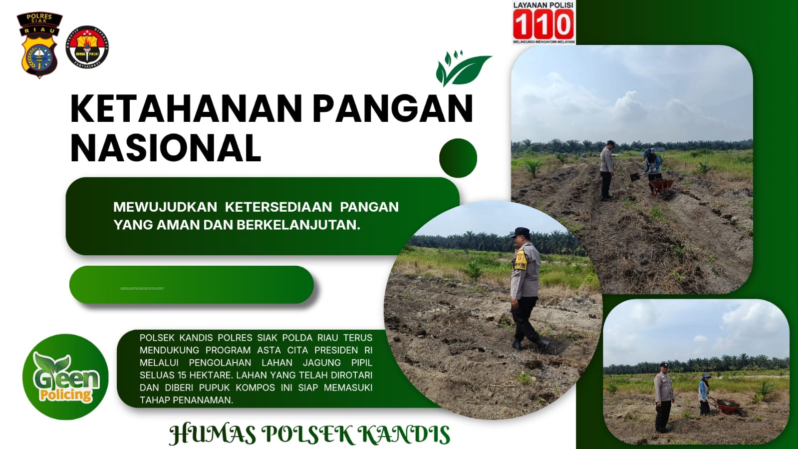 15 hektare siap tanam, Polsek Kandis dan kelompok tani bersinergi wujudkan ketahanan pangan