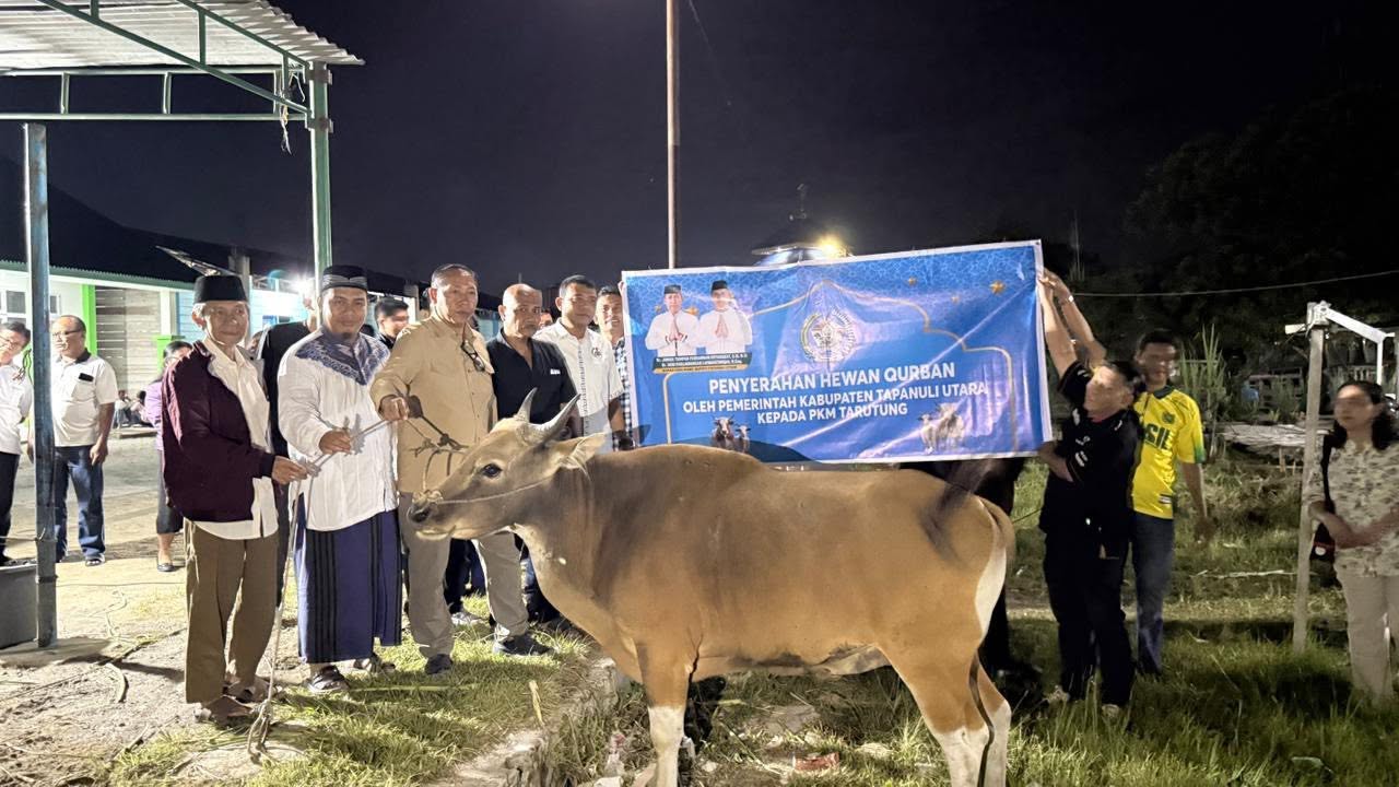 Bupati Taput Serahkan Sapi Kurban Presiden di Masjid Syuhada Tarutung