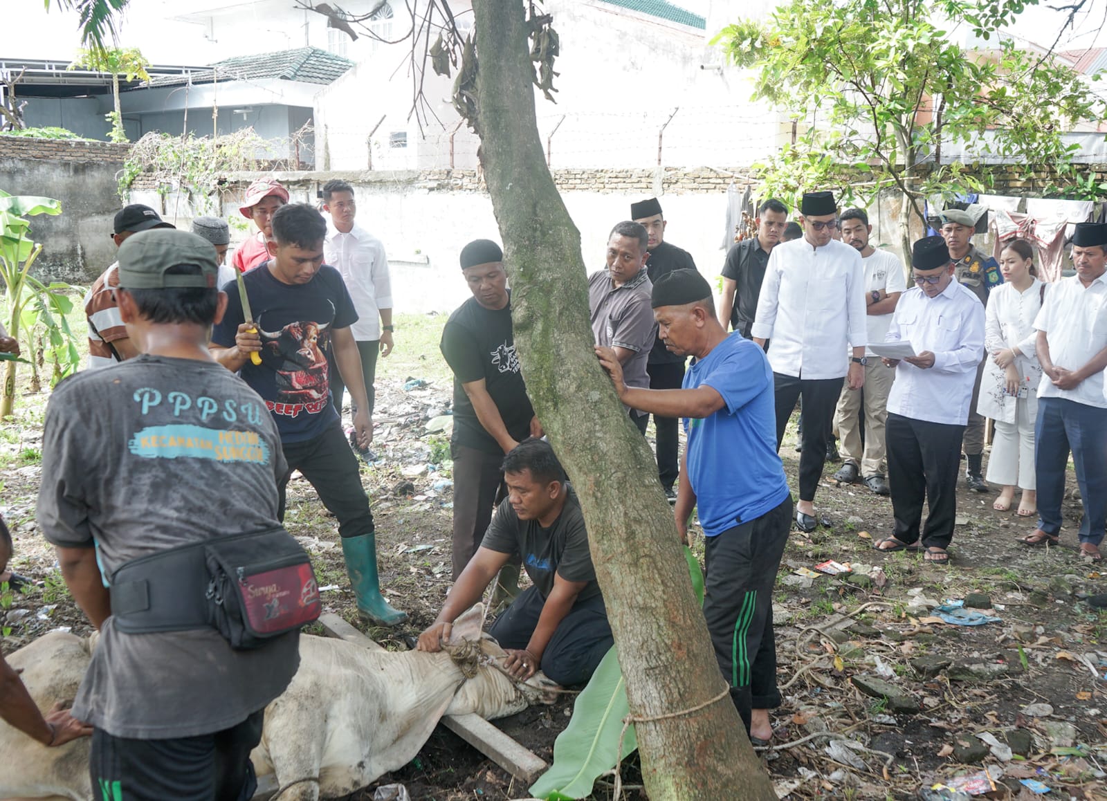 Pemko Medan Salurkan 124 Hewan Kurban pada Iduladha 1447 H