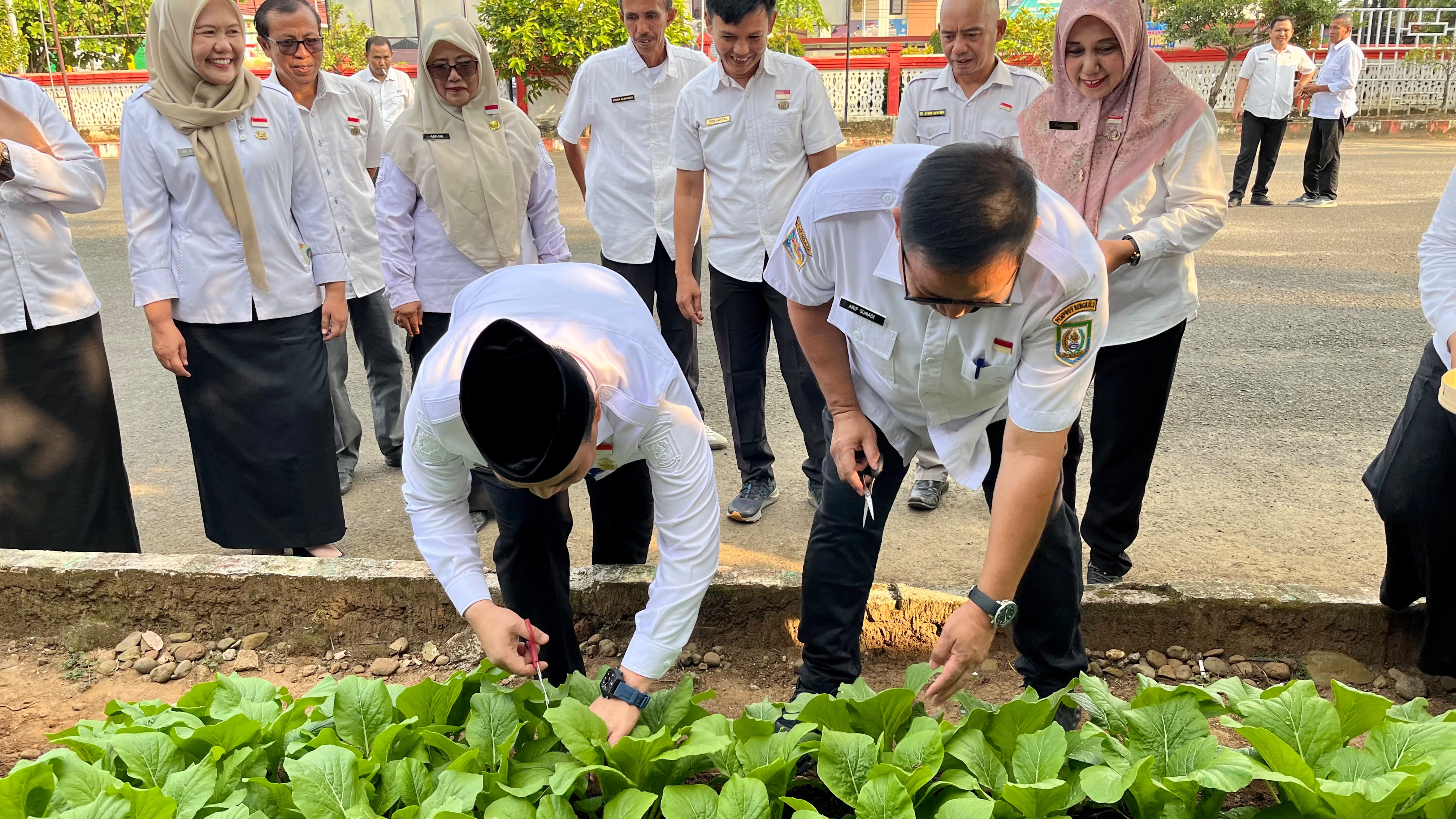 Dinas Ketahanan Pangan Jadi Percontohan, Herwan Antoni Ajak OPD Lebih Produktif