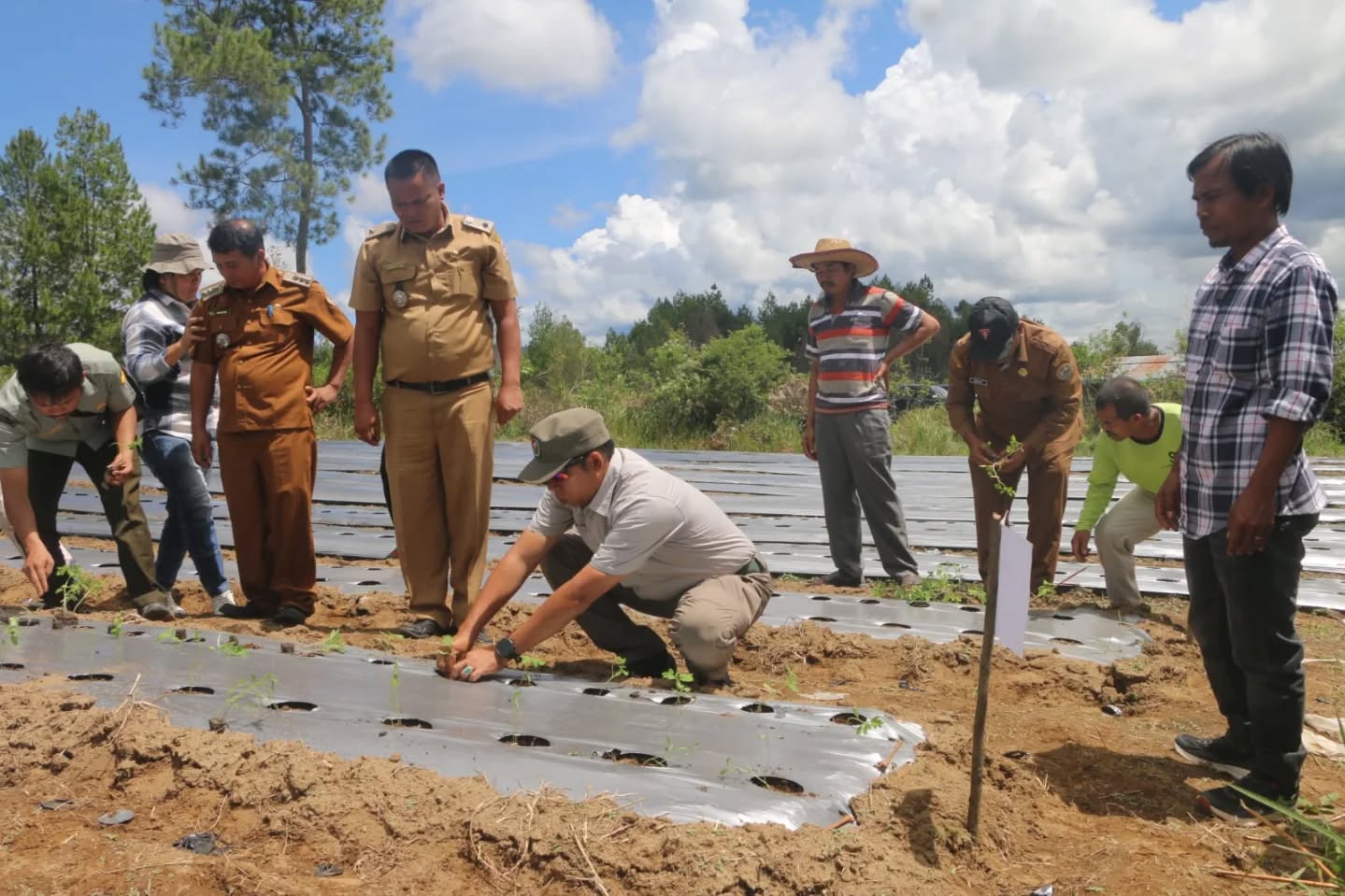 Pemkab Taput Dukung Pertanian Hortikultura di Parmonangan